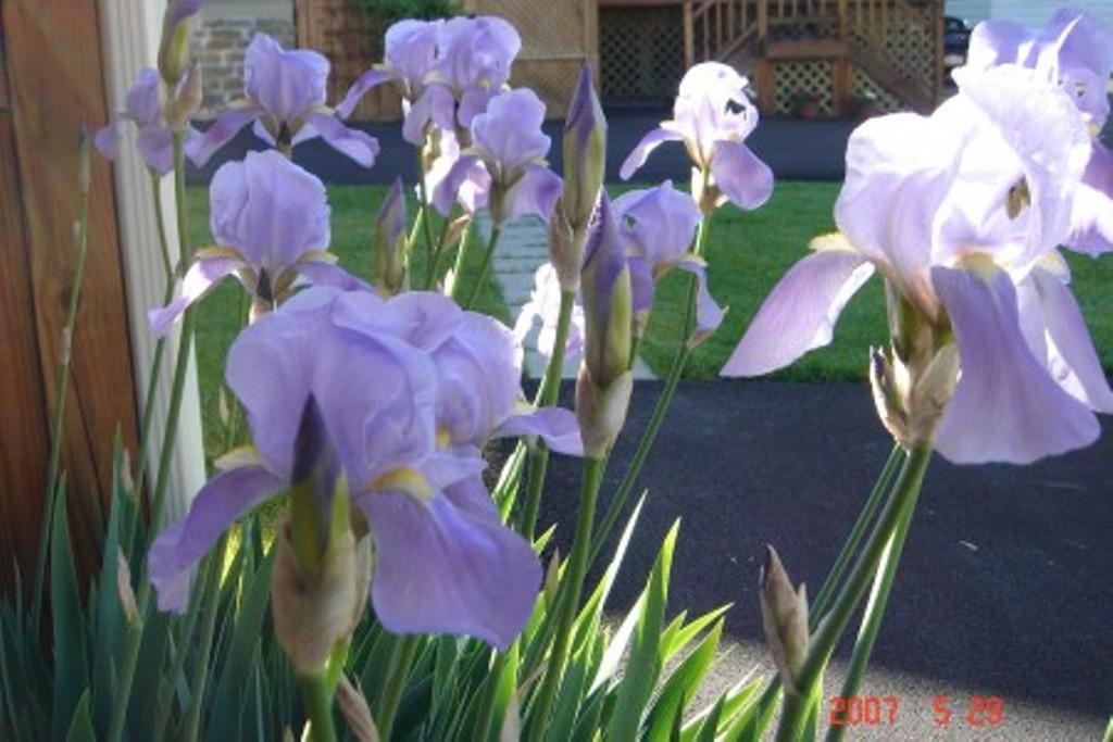 Trimmer House Bed And Breakfast Penn Yan Exterior photo